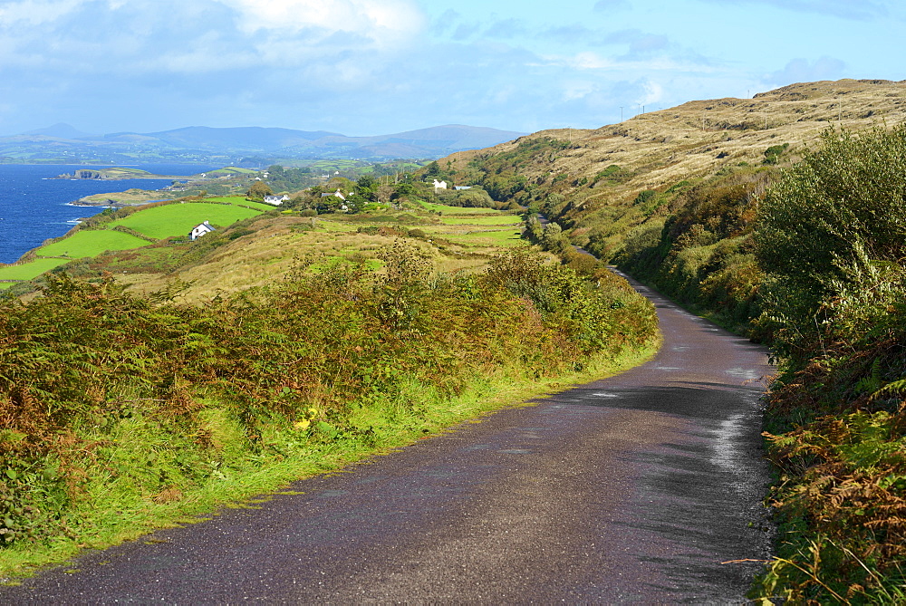 View from hillside road on the Beara Peninsular, Wild Atlantic Way, County Cork, Munster, Republic of Ireland, Europe