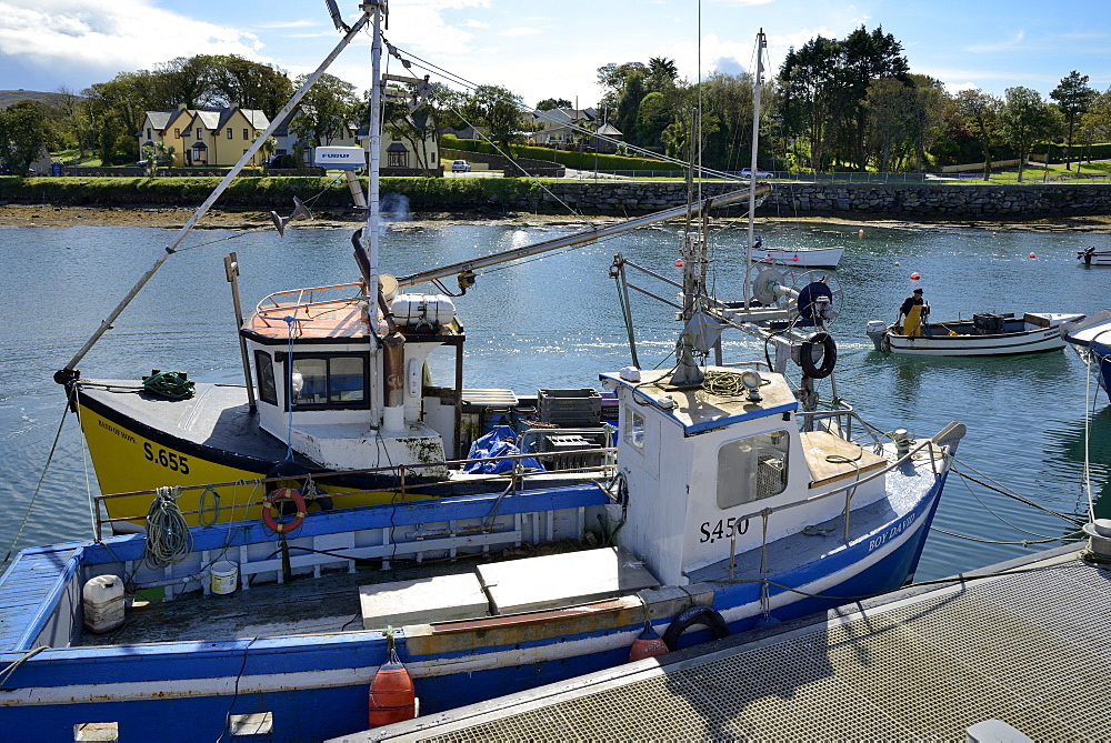 Fishing boats, Castletown, Castletownbere, Beara Peninsula, Wild Atlantic Way, County Cork, Munster, Republic of Ireland, Europe