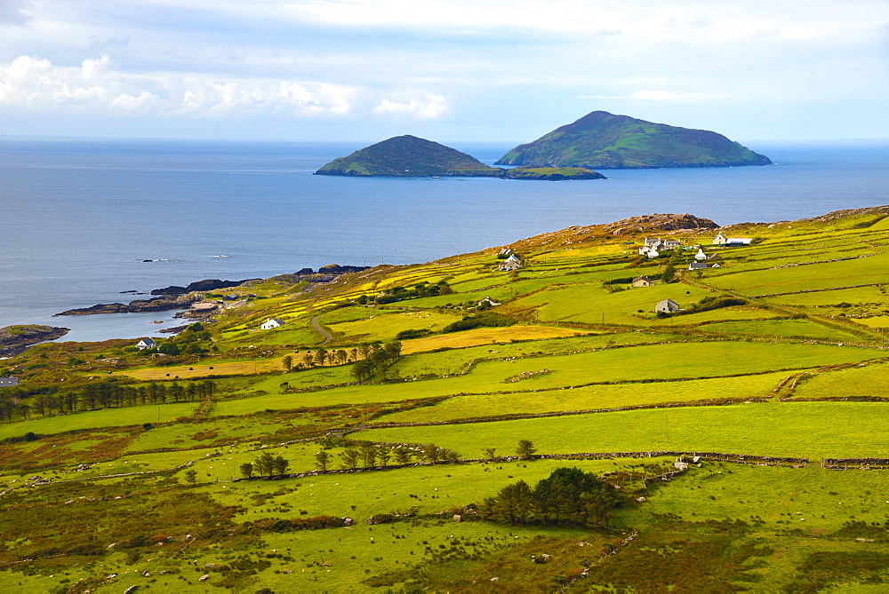 View from the roadside, Ring of Kerry, Iveragh Peninsula, Wild Atlantic Way, County Cork, Munster, Republic of Ireland, Europe