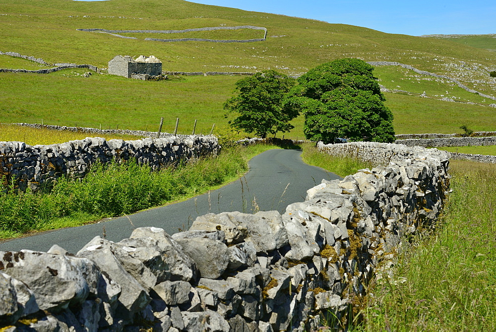 Stone walls lining country road, Ribblesdale Yorkshire Dales National Park, North Yorkshire, England, United Kingdom, Europe