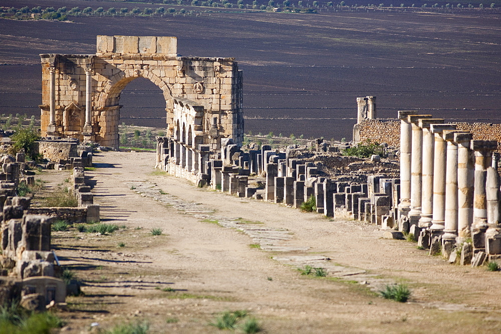 Triumph Arch in Roman ruins, Volubilis, UNESCO World Heritage Site, Morocco, North Africa, Africa