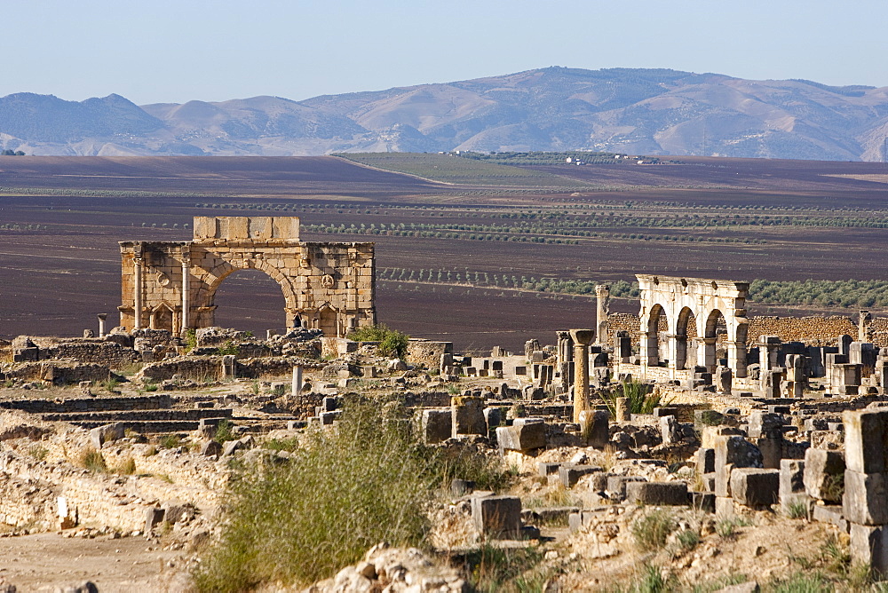 Triumph Arch in Roman ruins, Volubilis, UNESCO World Heritage Site, Morocco, North Africa, Africa