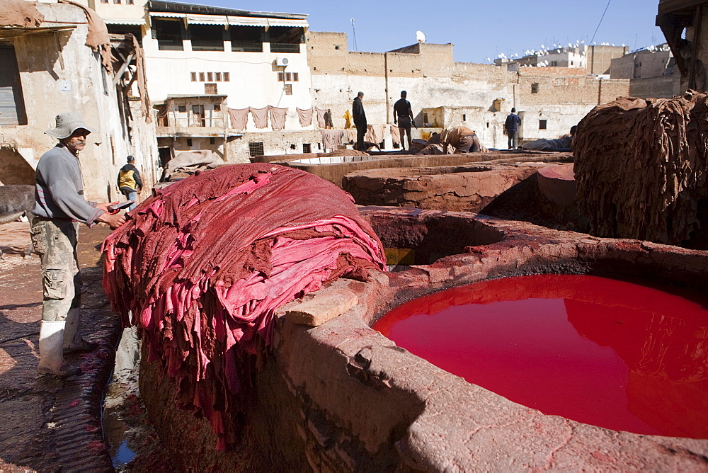 Tannery, Fez, Morocco, North Africa, Africa