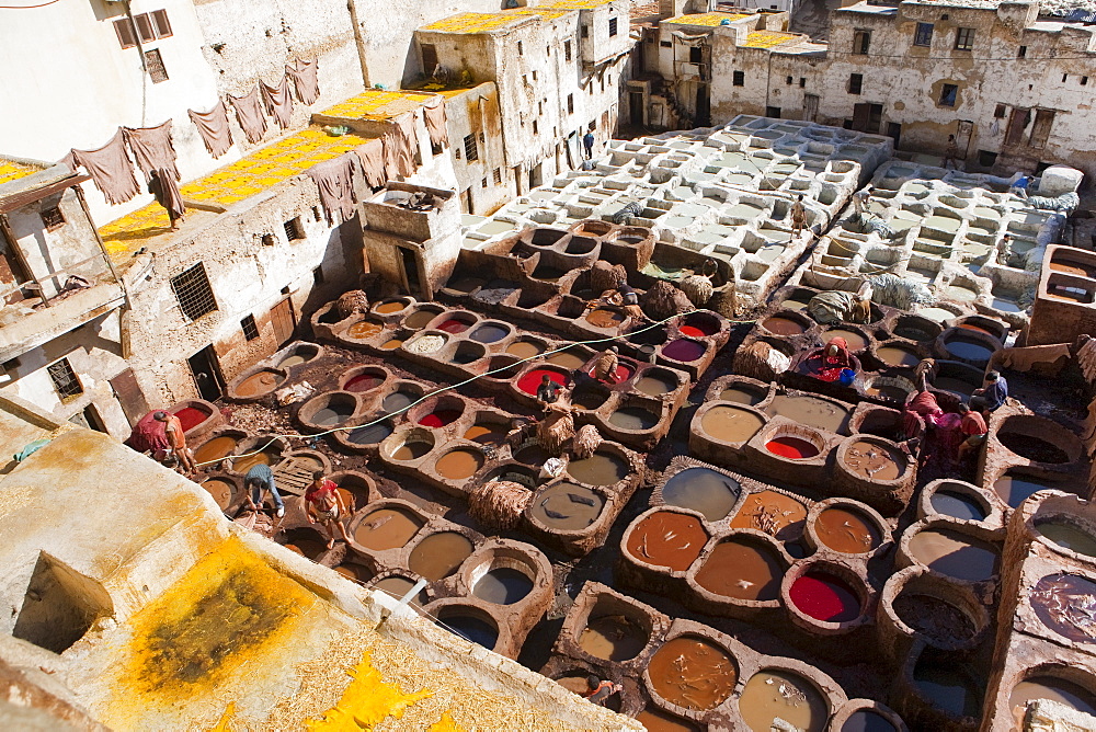 Tannery, Fez, UNESCO World Heritage Site, Morocco, North Africa, Africa