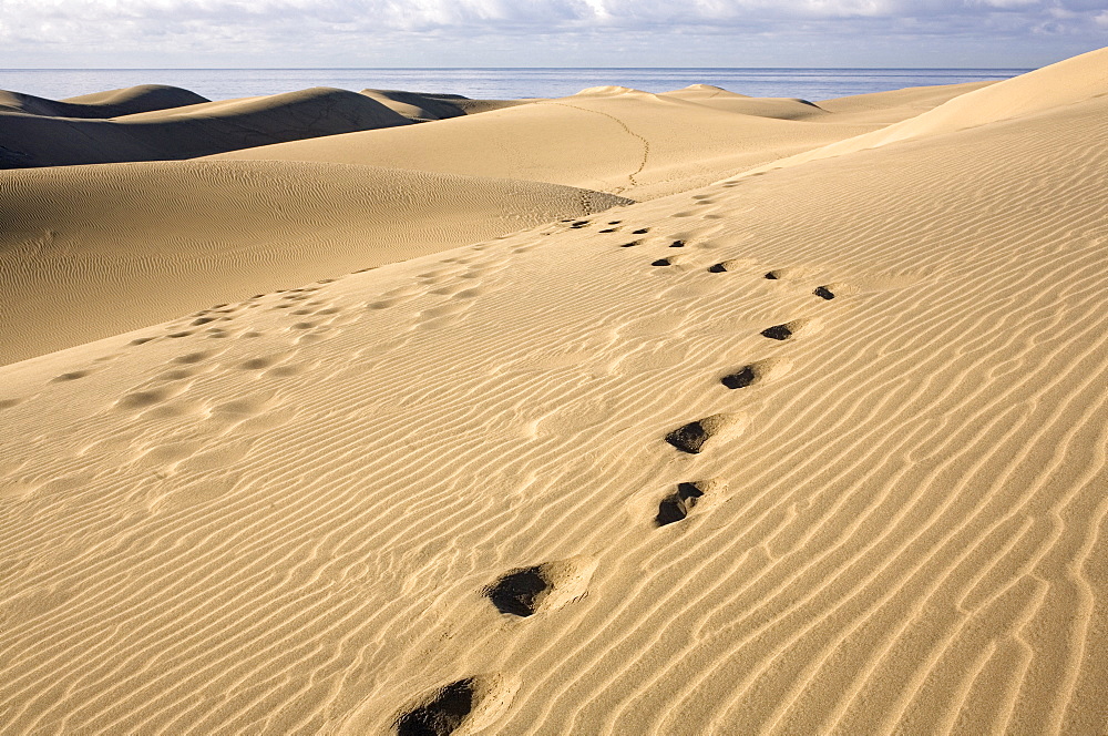 Maspalomas dunes, Gran Canaria, Canary Islands, Spain, Europe