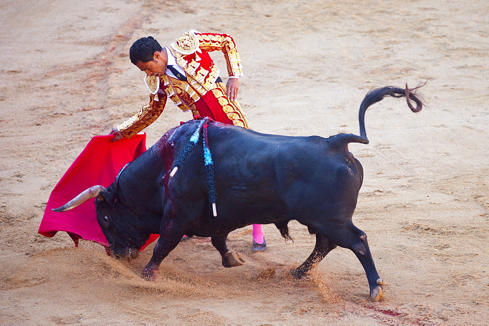 Bullfight, Plaza de Toros, San Fermin Fiesta, Pamplona, Navarra, Spain, Europe