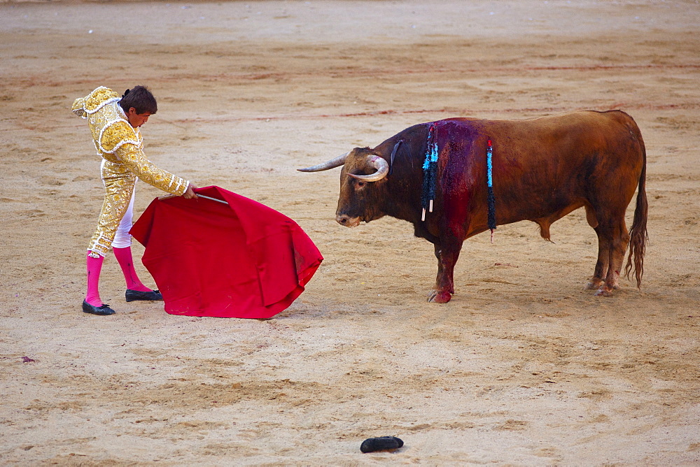 Bullfight, Plaza de Toros, San Fermin Fiesta, Pamplona, Navarra, Spain, Europe