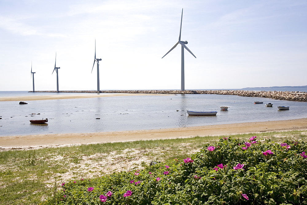 Wind farm, Ebeltoft, Denmark, Scandinavia, Europe