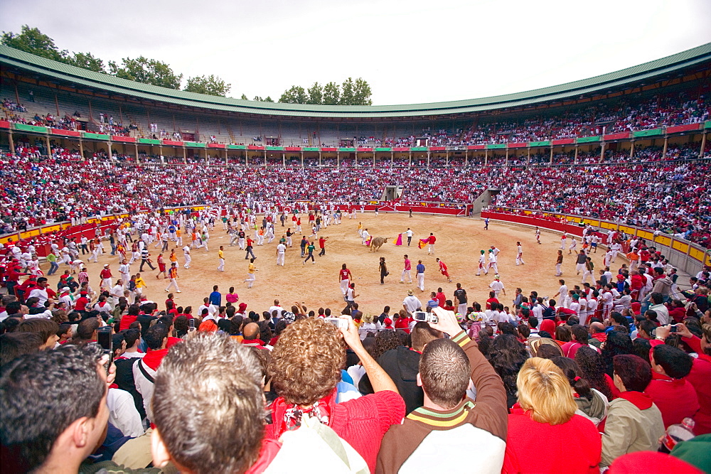 San Fermin festival. Plaza de Toros, Pamplona, Navarra, Spain, Europe