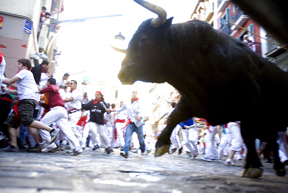 Running of the bulls (Encierro), San Fermin festival, Pamplona, Navarra, Spain, Europe 