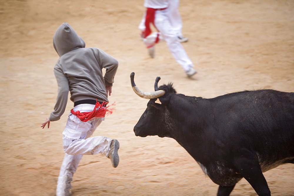 Bull fighting, San Fermin festival, Plaza de Toros, Pamplona, Navarra, Spain, Europe