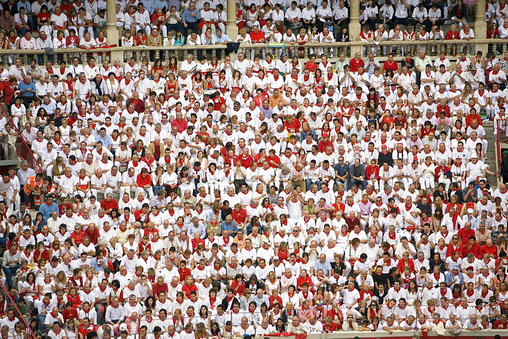 Plaza de Toros, San Fermin festival, Pamplona, Navarra, Spain, Europe