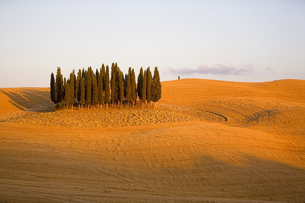 Val d'Orcia, Tuscany, Italy, Europe