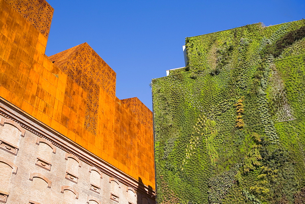 Vertical garden by Patrick Blanc, Caixa Forum foundation, Madrid, Spain, Europe