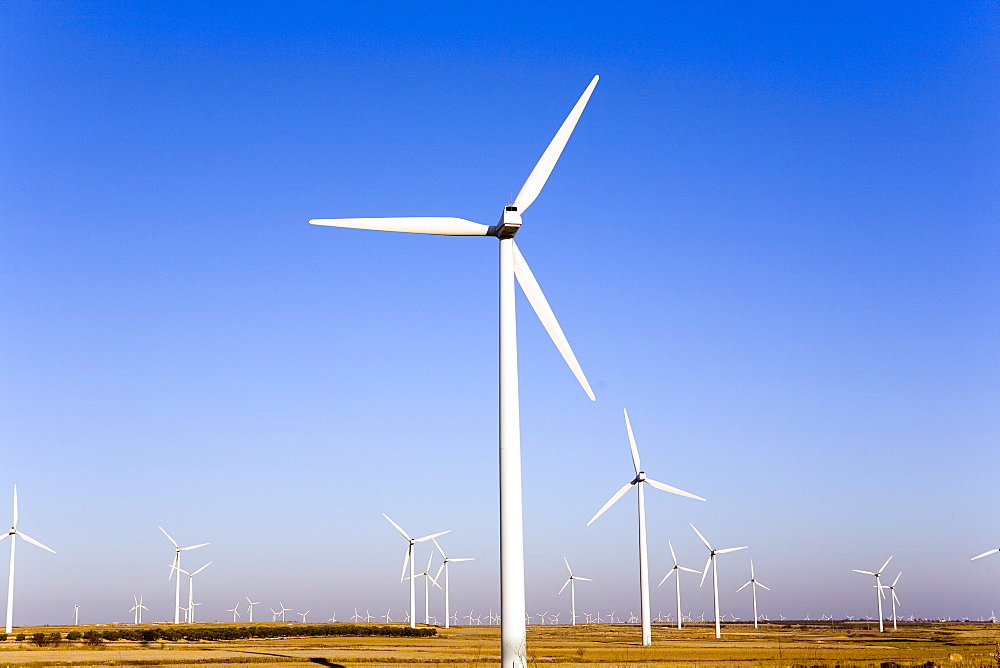 Wind farm, La Muela, Zaragoza, Aragon, Spain, Europe