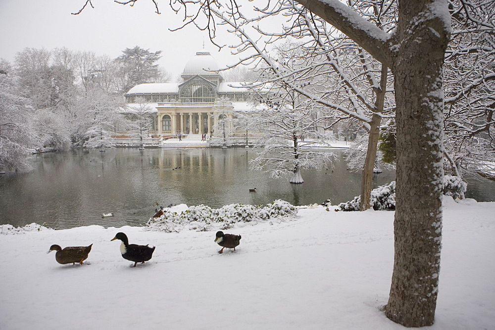 Crystal palace in the snow, Retiro Park, Madrid, Spain, Europe