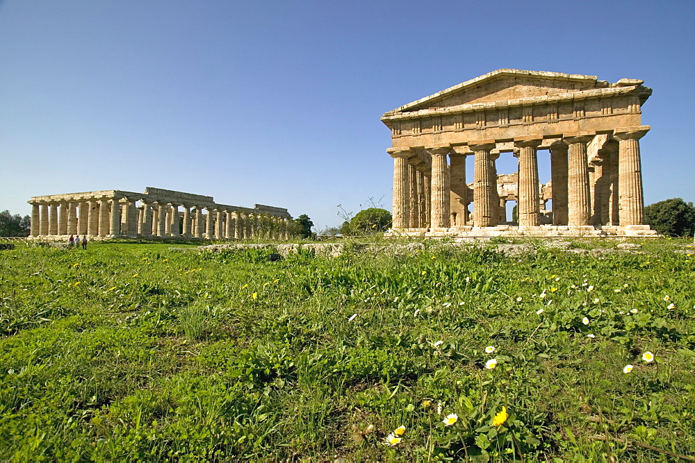 Temple of Hera (Basilica) left, temple of Poseidon (Neptune) right, Paestum, UNESCO World Heritage Site, Campania, Italy, Europe