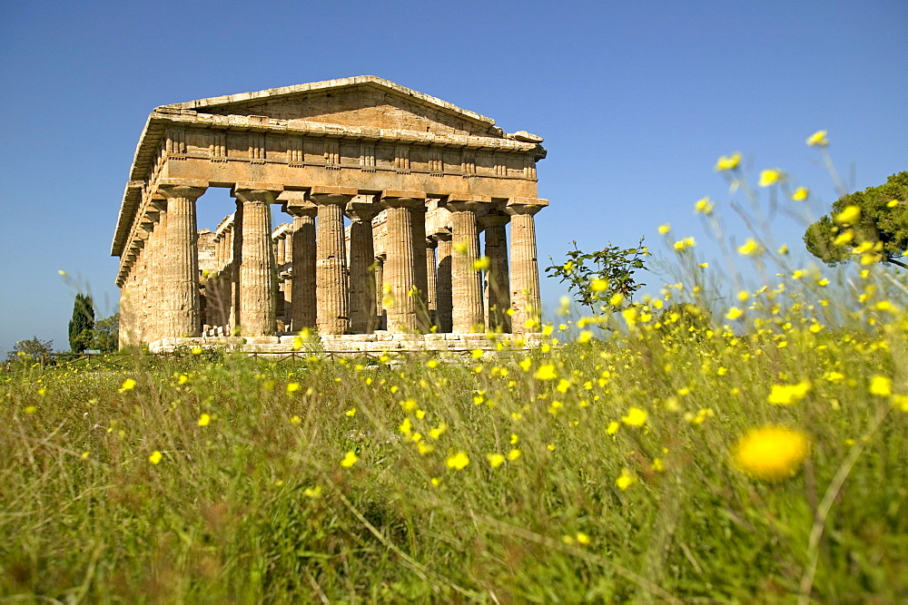 Temple of Poseidon (Neptune), Paestum, UNESCO World Heritage Site, Campania, Italy, Europe