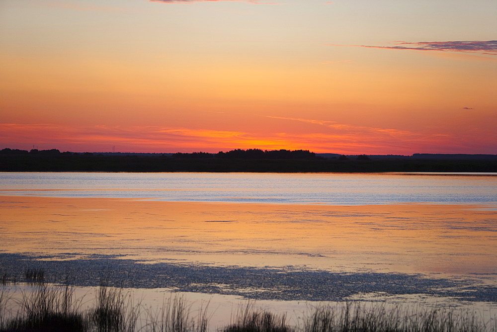 Near Tulcea, Danube River delta, Romania, Europe