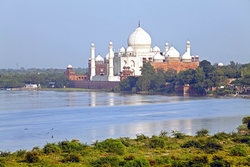 Taj Mahal, UNESCO World Heritage Site, across the Jumna (Yamuna) River, Agra, Uttar Pradesh state, India, Asia