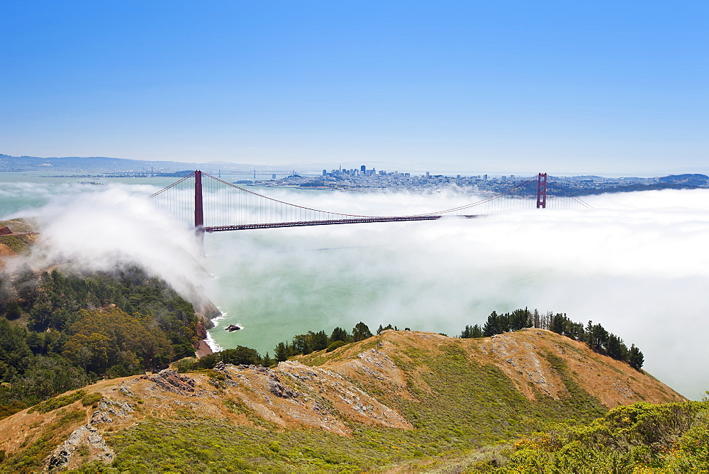 Golden Gate Bridge and the San Francisco skyline floating above the fog on a foggy day in San Francisco, California, United States of America, North America