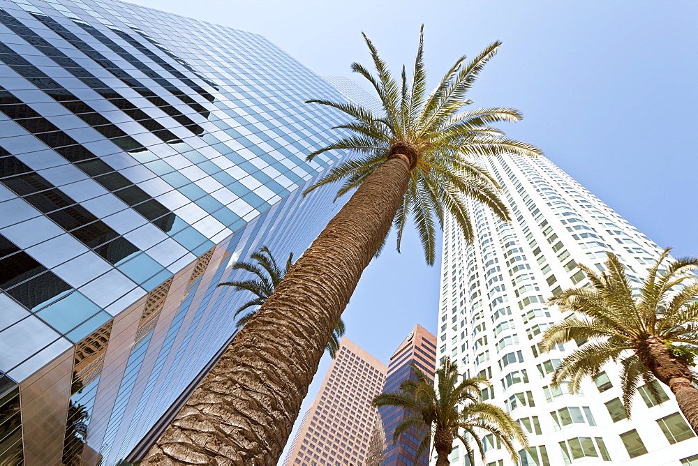 Downtown, Los Angeles, California, United States of America, North America