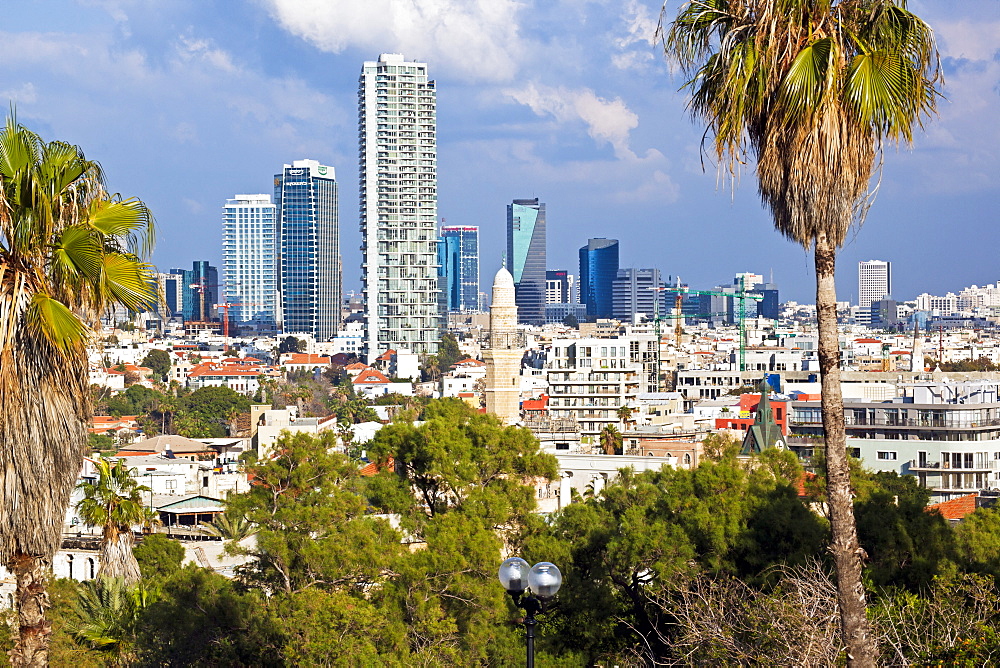 Downtown buildings viewed from HaPisgah Gardens (The Summit Garden), Jaffa, Tel Aviv, Israel, Middle East