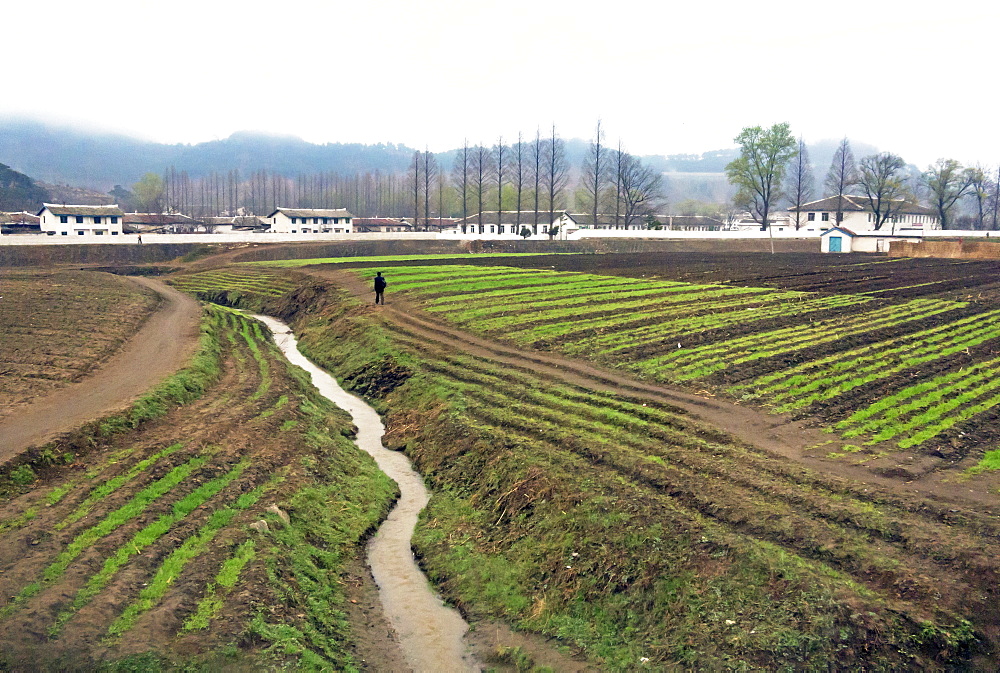 Countryside between Wonsan and Hamhung, Democratic People's Republic of Korea (DPRK), North Korea, Asia