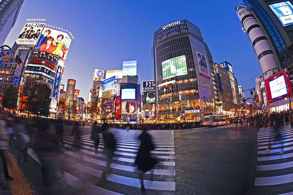 Shibuya Crossing, crowds of people crossing the intersection in the centre of Shibuya, Tokyo, Honshu, Japan, Asia 