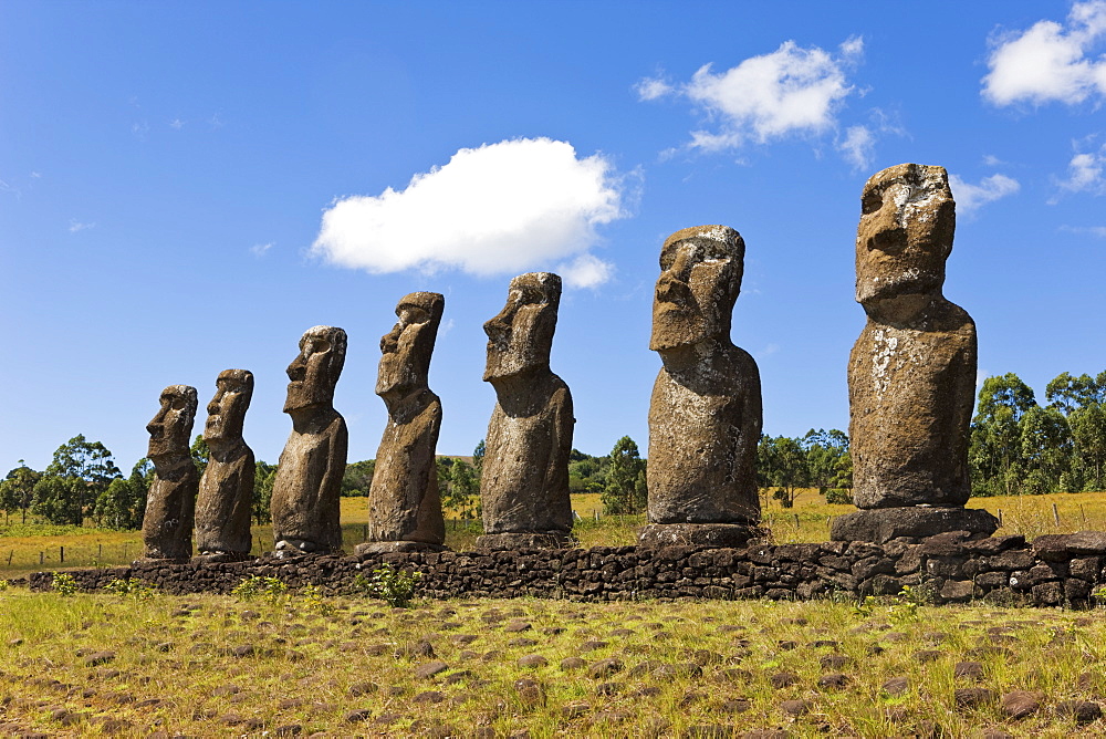 Ahu Tongariki, the largest ahu on the Island, Tongariki is a row of 15 giant stone Moai statues, Rapa Nui (Easter Island), UNESCO World Heritage Site, Chile, South America