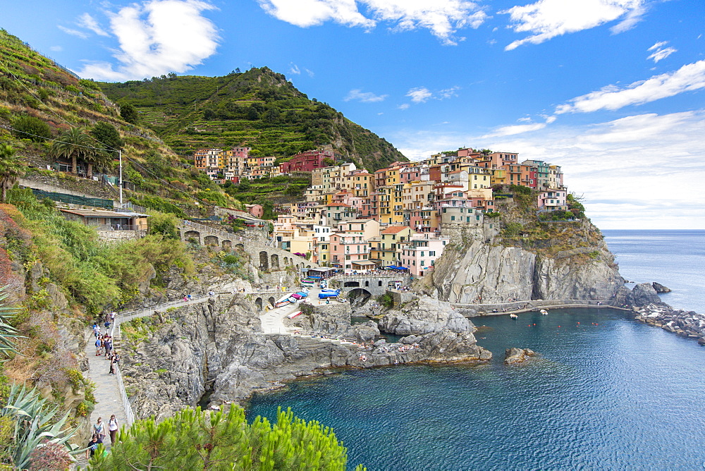 Manarola, Cinque Terre, UNESCO World Heritage Site, Liguria, Italy, Europe