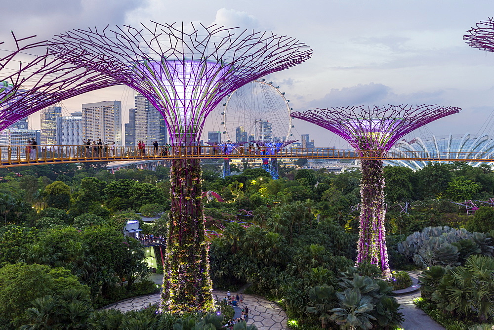 Supertrees at Gardens by the Bay, illuminated at night, Singapore, Southeast Asia, Asia