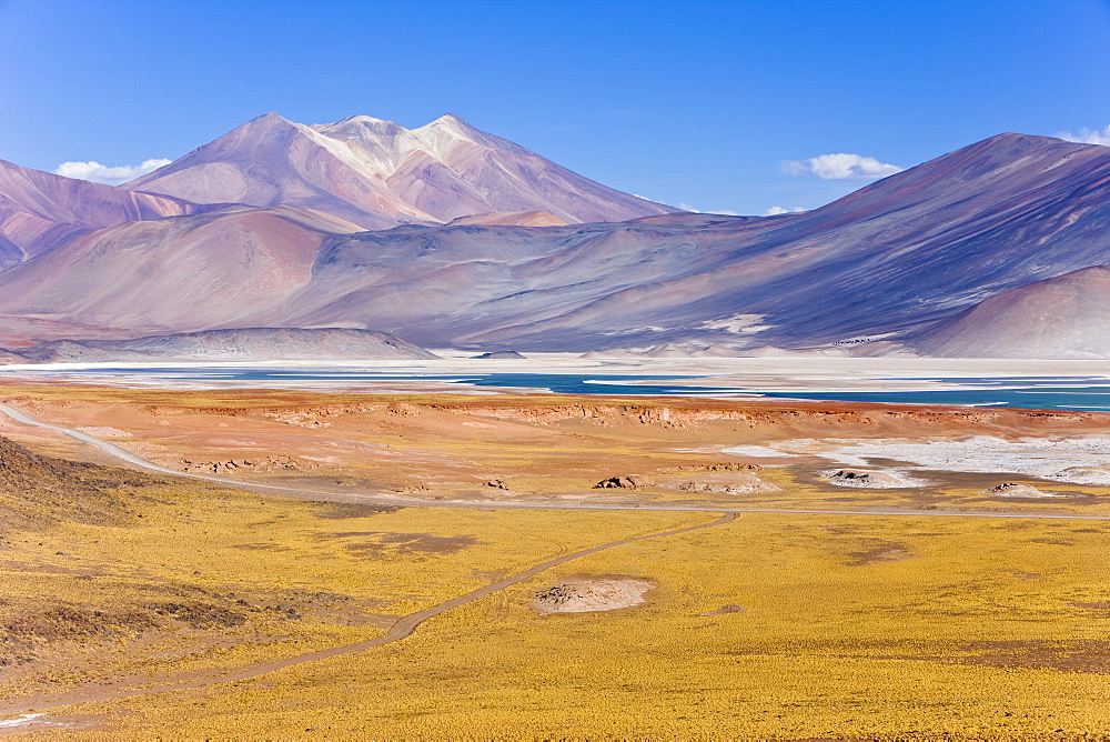 The altiplano at an altitude of over 4000m looking over the salt lake Laguna de Tuyajto, Los Flamencos National Reserve, Atacama Desert, Antofagasta Region, Norte Grande, Chile, South America