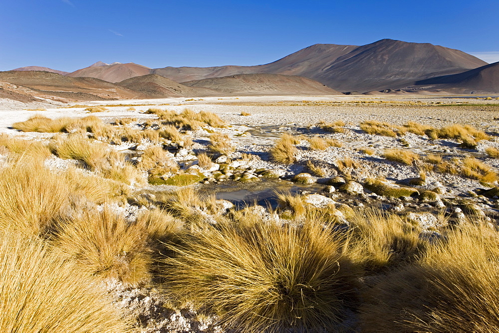 The altiplano at an altitude of over 4000m looking over the salt lake Laguna de Tuyajto, Los Flamencos National Reserve, Atacama Desert, Antofagasta Region, Norte Grande, Chile, South America