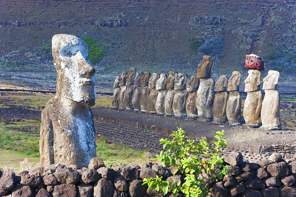 Ahu Tongariki, the largest ahu on the Island, Tongariki is a row of 15 giant stone Moai statues, Rapa Nui (Easter Island), UNESCO World Heritage Site, Chile, South America