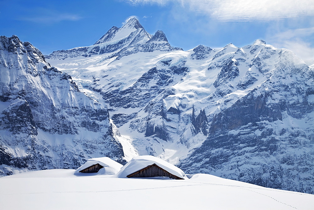 Partially buried buildings on the ski slopes in front of the Schreckhorn mountain, 4078m, Grindelwald, Jungfrau region, Bernese Oberland, Swiss Alps, Switzerland, Europe