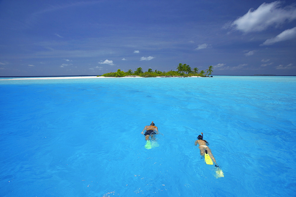 Couple snorkelling in the Maldives, Indian Ocean, Asia