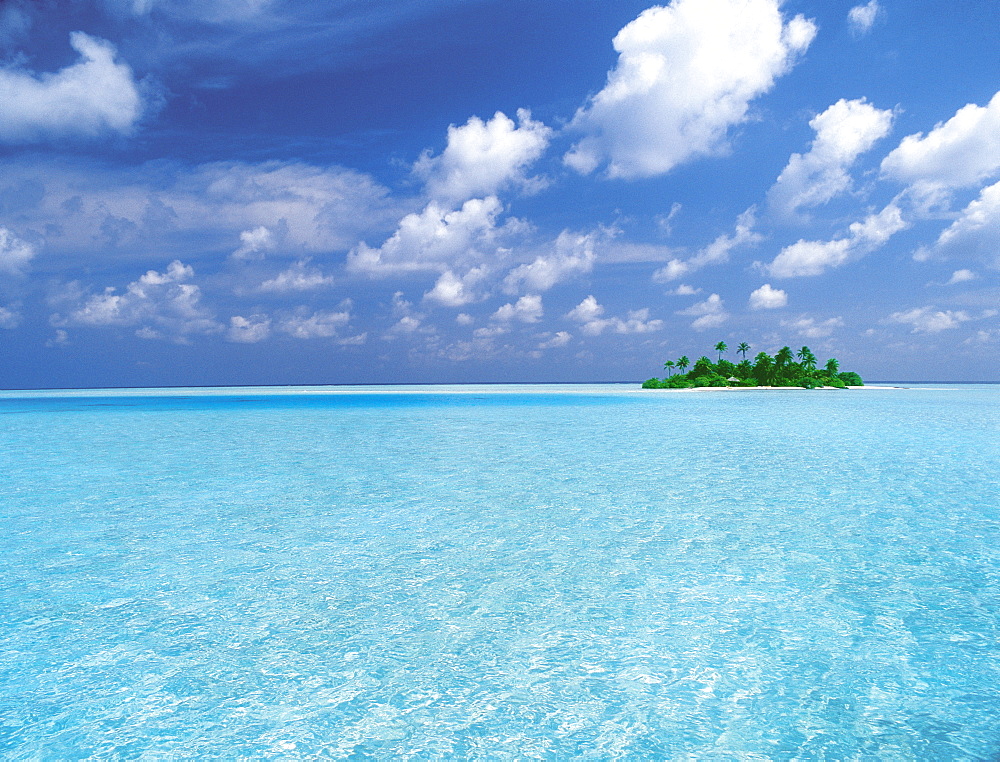 Tropical island surrounded by lagoon, Maldives, Indian Ocean, Asia