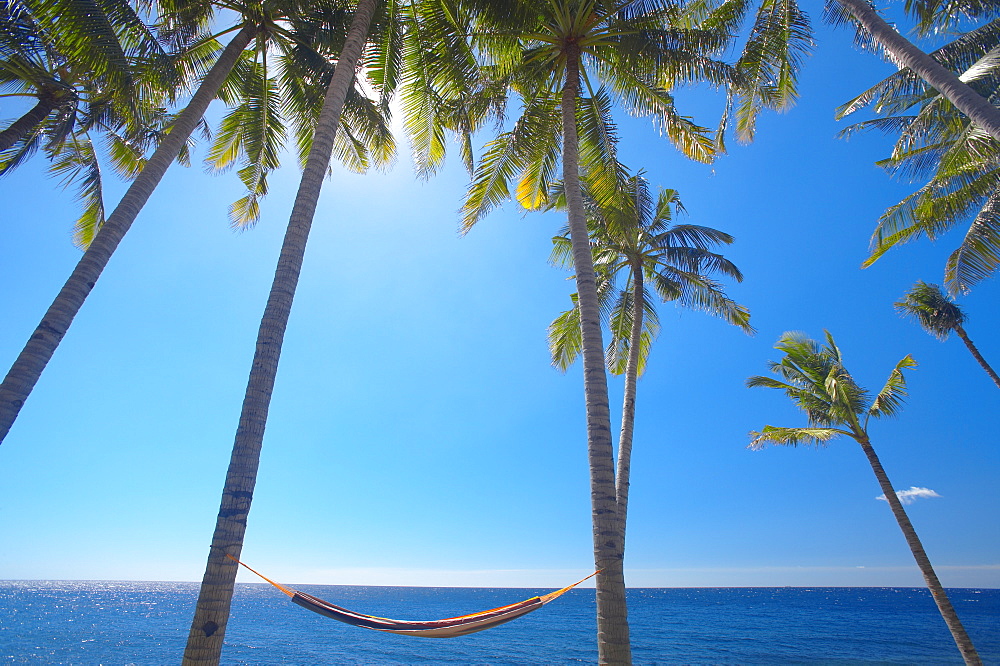 Hammock between palm trees on beach, Bali, Indonesia, Southeast Asia, Asia