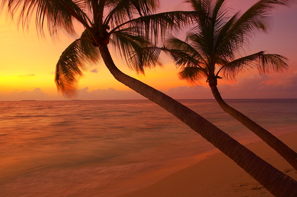 Sunset on beach, Maldives, Indian Ocean, Asia