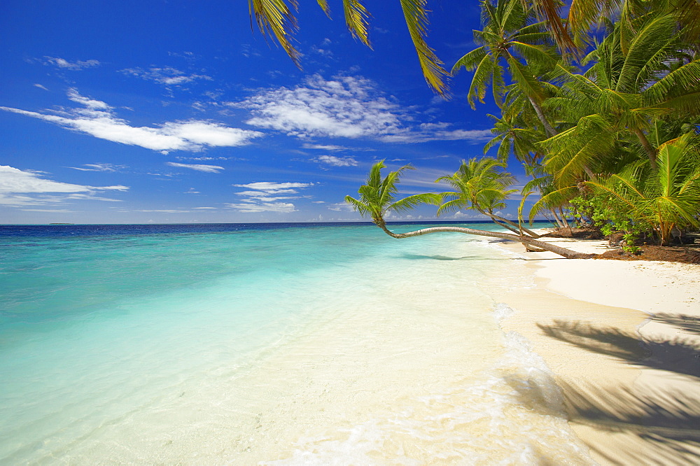 Empty beach, Maldives, Indian Ocean, Asia