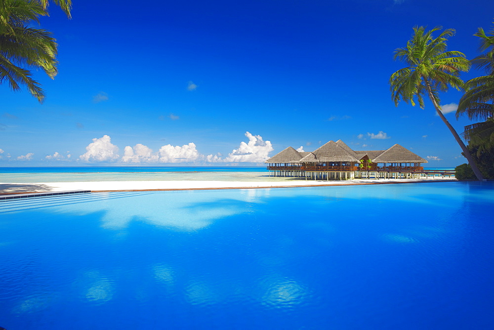 Swimming pool, palms and beach huts, Maldives, Indian Ocean, Asia