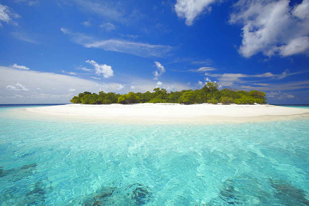 Uninhabited island, Maldives, Indian Ocean, Asia