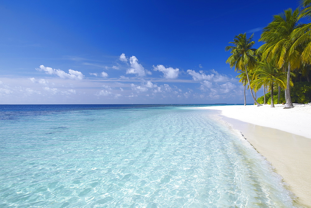 Tropical island and beach, Maldives, Indian Ocean, Asia