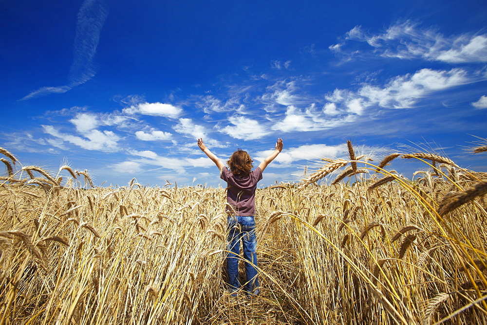 Happy boy in wheat filed, France, Europe