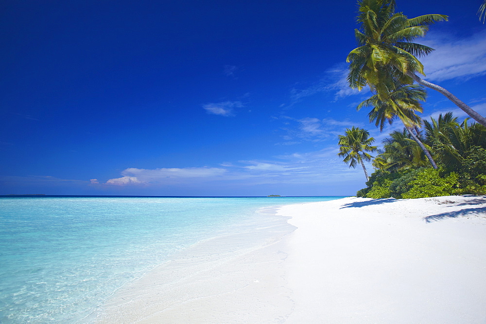 Tropical beach and lagoon, Maldives, Indian Ocean, Asia