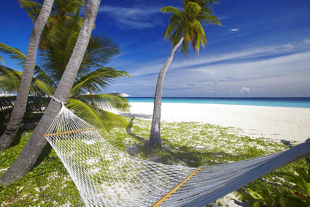 Hammock and tropical beach, Maldives, Indian Ocean, Asia