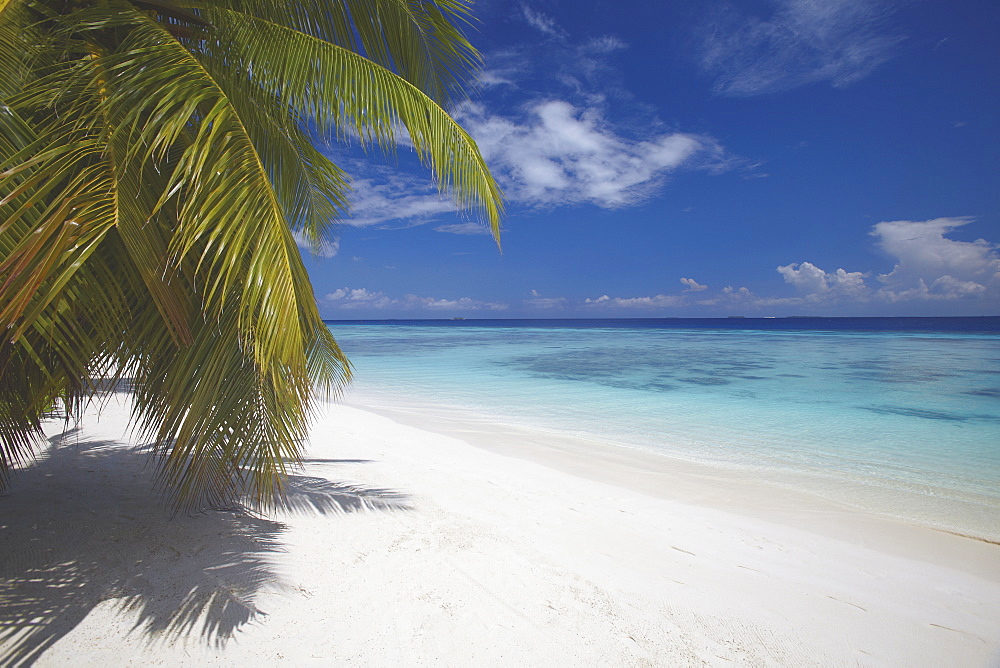 Empty beach on tropical island, Maldives, Indian Ocean, Asia