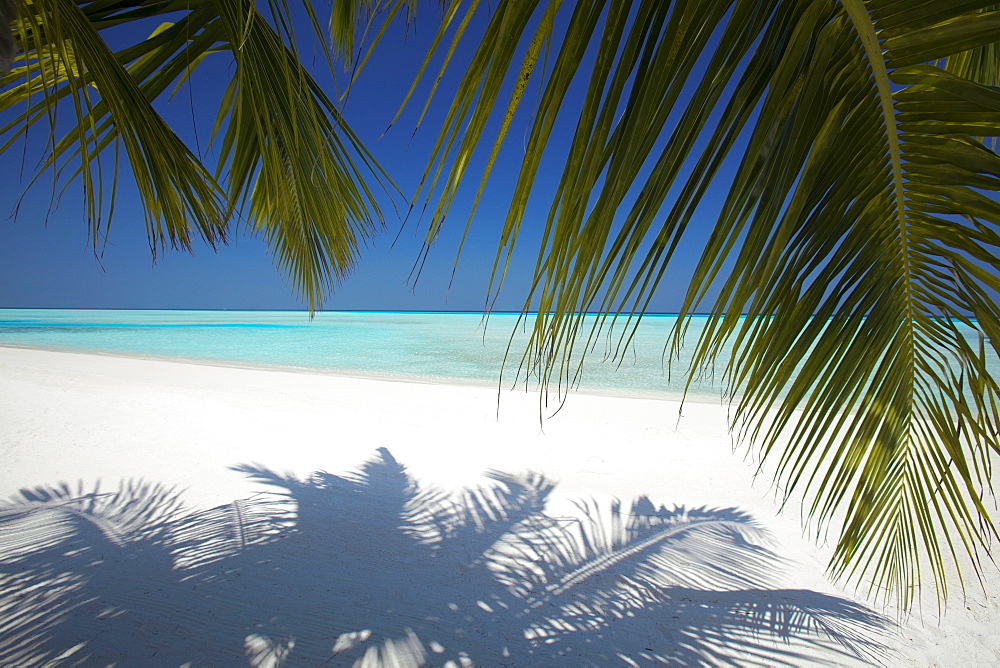 Tropical beach, Maldives, Indian Ocean, Asia