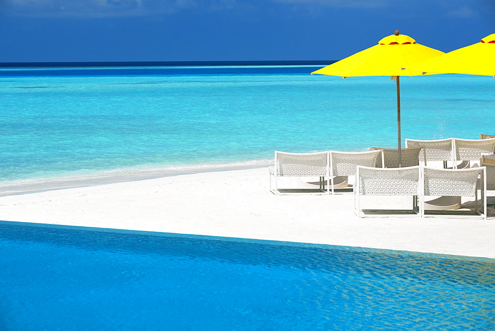 Infinity pool and lounge chairs, Maldives, Indian Ocean, Asia 